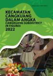 Cangkuang Subdistrict in Figures 2022