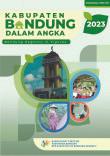 Kabupaten Bandung Dalam Angka 2023