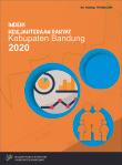 Indeks Kesejahteraan Rakyat Kabupaten Bandung 2020