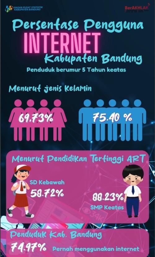 Pengguna Internet di Kabupaten Bandung 