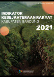 Indikator Kesejahteraan Rakyat Kabupaten Bandung 2021