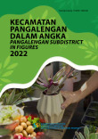 Kecamatan Pangalengan Dalam Angka 2022