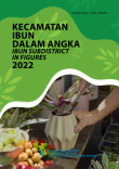 Kecamatan Ibun Dalam Angka 2022